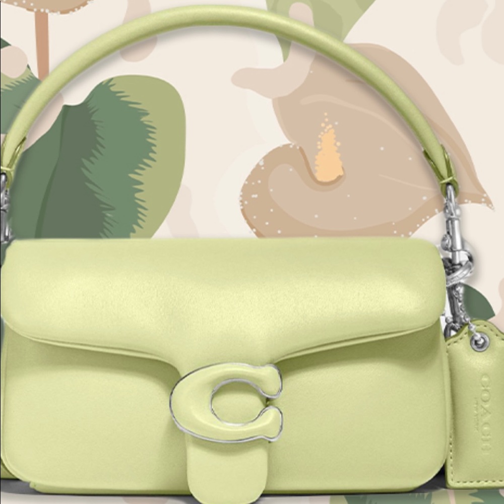 Coach pillow Tabby 18 / pale lime
